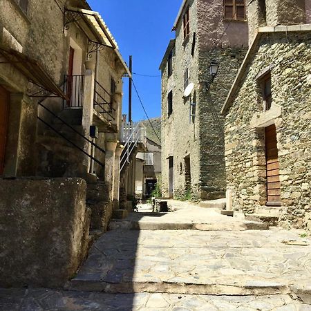 Bigorno Nuits Magiques Au Village Entre Mer Et Montagnes מראה חיצוני תמונה