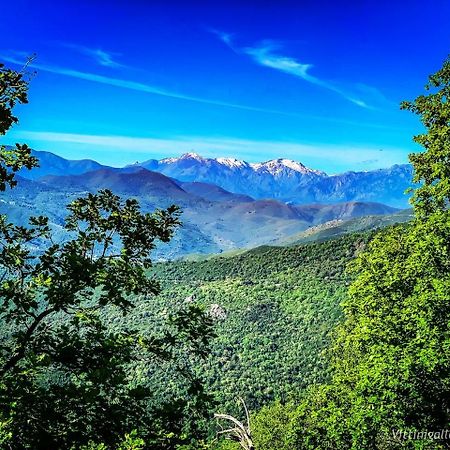 Bigorno Nuits Magiques Au Village Entre Mer Et Montagnes מראה חיצוני תמונה