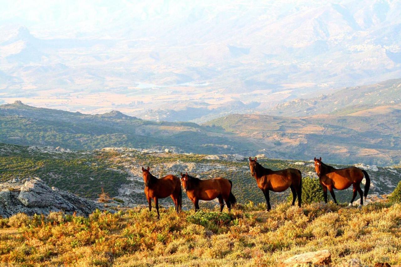 Bigorno Nuits Magiques Au Village Entre Mer Et Montagnes מראה חיצוני תמונה