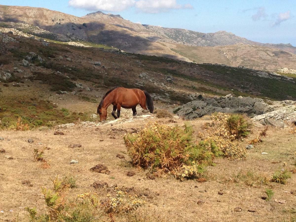 Bigorno Nuits Magiques Au Village Entre Mer Et Montagnes מראה חיצוני תמונה