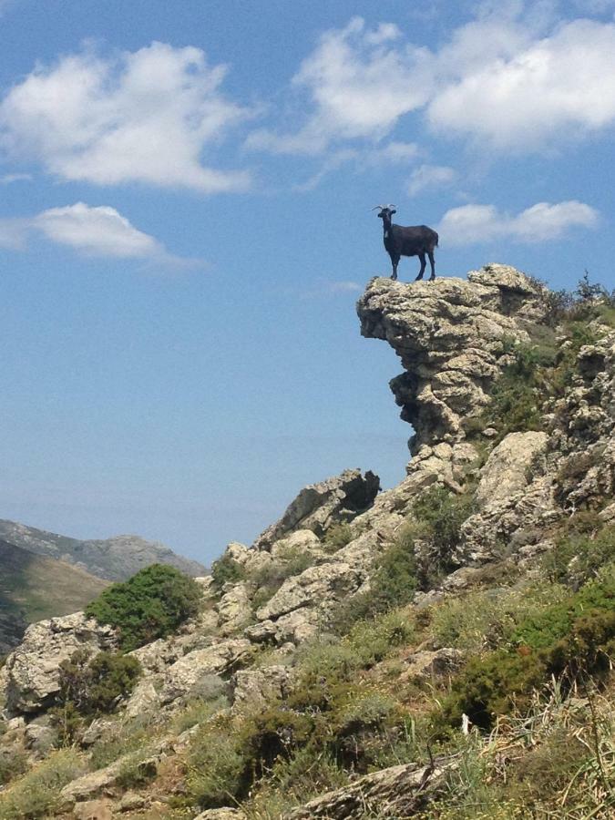 Bigorno Nuits Magiques Au Village Entre Mer Et Montagnes מראה חיצוני תמונה